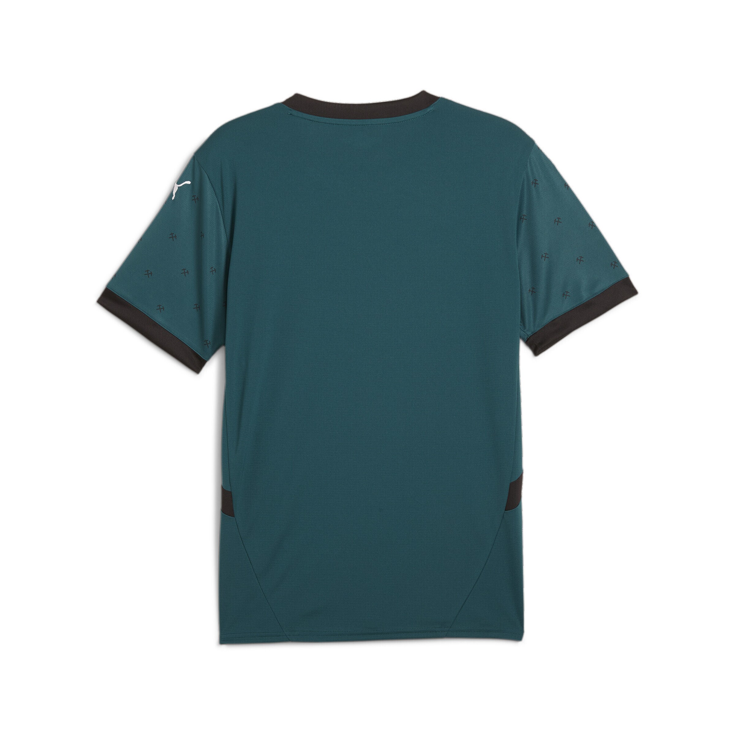 PUMA Jersey 'RC Lens 24/25' in Green