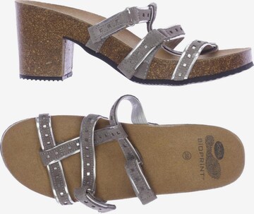 SCHOLL Sandals & High-Heeled Sandals in 39 in Grey: front