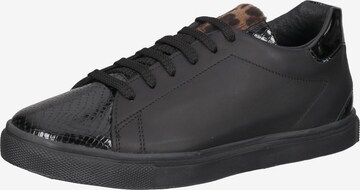 Gordon & Bros Sneaker in Black: front
