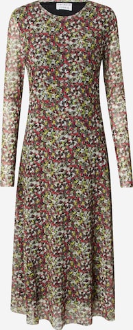 mišri CATWALK JUNKIE Suknelė: priekis