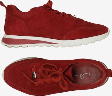 La Shoe Sneaker 38 in Rot: Vorderseite