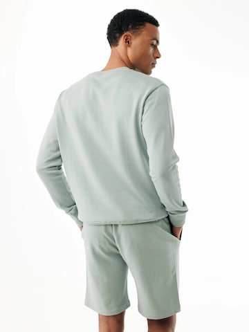 MEXX Majica 'Eiger' | zelena barva