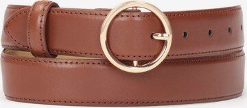 Kazar Belt in Brown: front