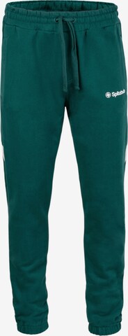 SPITZBUB Regular Broek 'Ludis' in Groen: voorkant