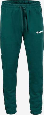 Regular Pantalon 'Ludis' SPITZBUB en vert : devant