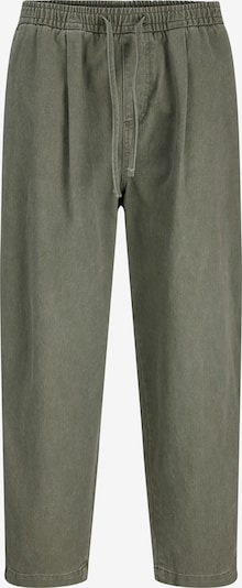 JACK & JONES Traperice s naborima 'JPSTEvan Blaine' u sivkasto zelena, Pregled proizvoda