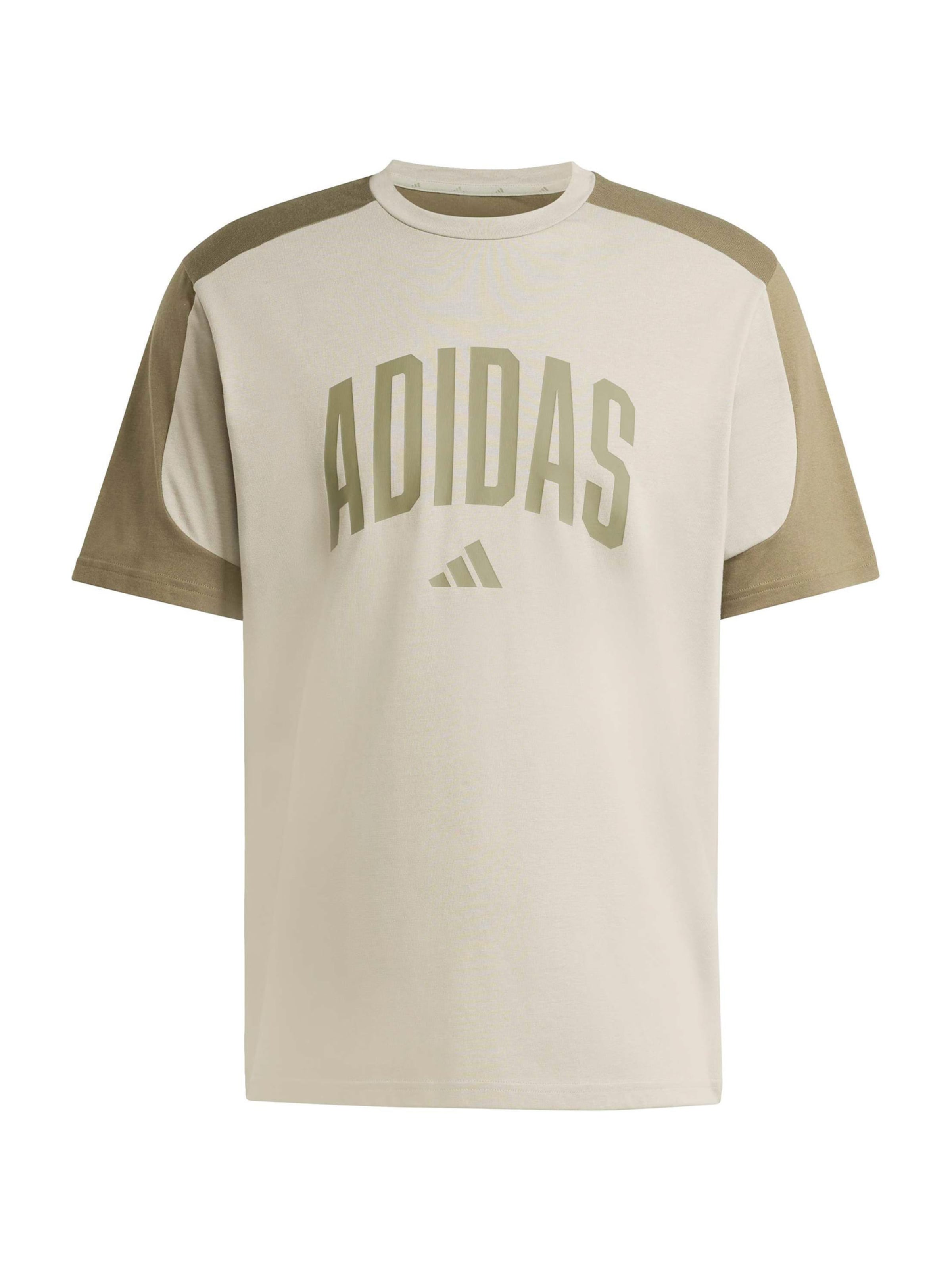 ADIDAS SPORTSWEAR Λειτουργικό μπλουζάκι 'COLLEGIATE' σε γκρι: μπροστά