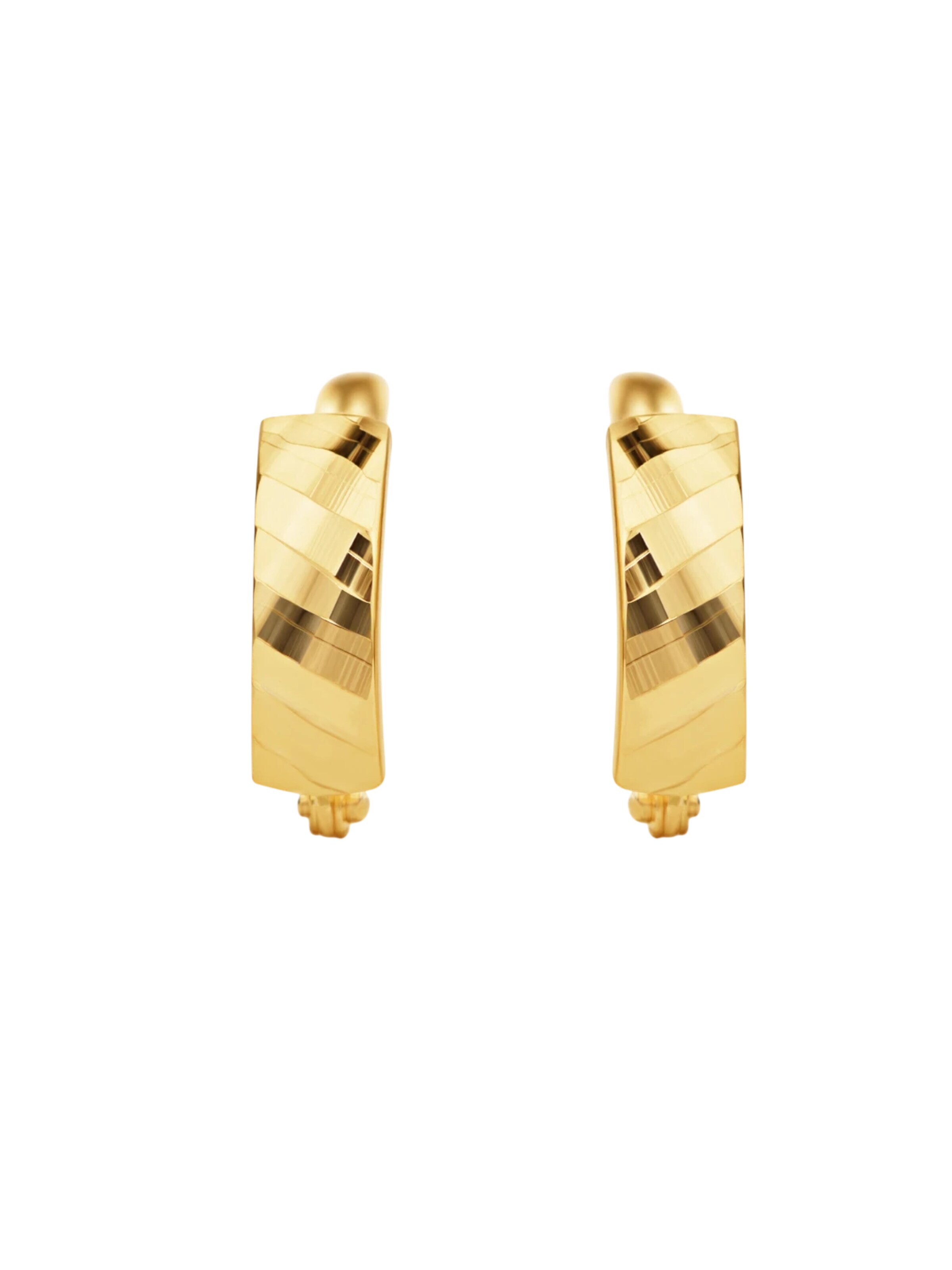 DIAMANT LETERNEL Earrings in Gold
