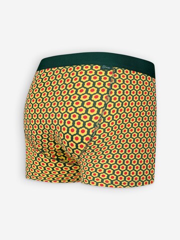 A-dam Boxer shorts in Yellow