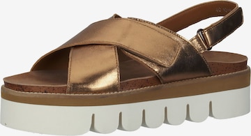 ARA Sandals in Brown: front