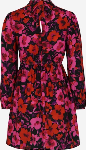 Dorothy Perkins Petite Kleid in Pink