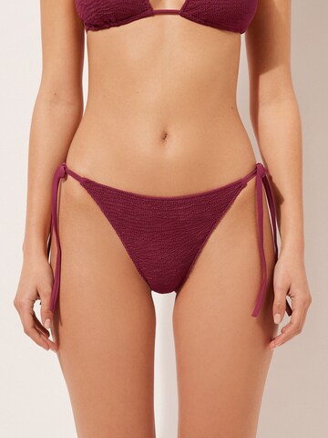 CALZEDONIA Bikinihose 'CRINKLE WAVES' in Rot: Vorderseite