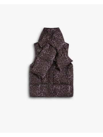 jauktas krāsas Scalpers Veste