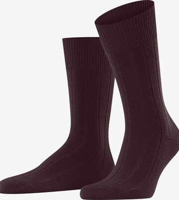 FALKE Socken 'Lhasa Rib' in Rot: Vorderseite
