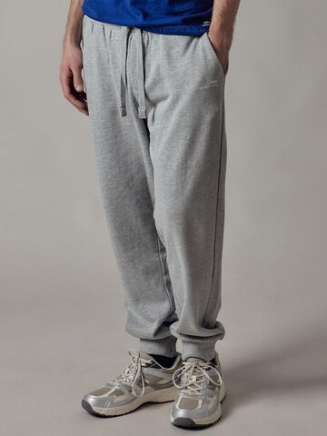 OWN Off With Nature Regular Trousers 'Joggers Felpati' in Grey