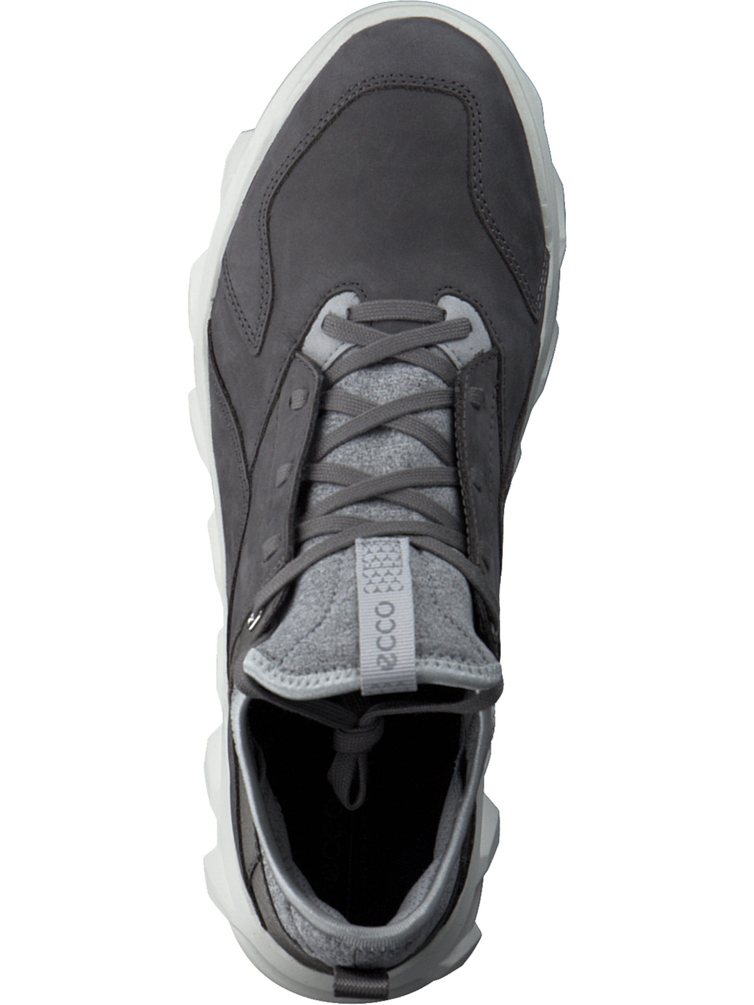 Baskets basses ECCO en gris