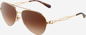 Lunettes de soleil COACH en marron : devant