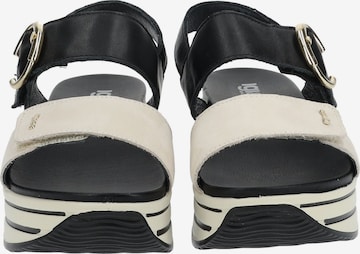 IGI&CO Sandals in Black