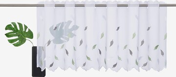 HOME AFFAIRE Curtains & Drapes in White: front