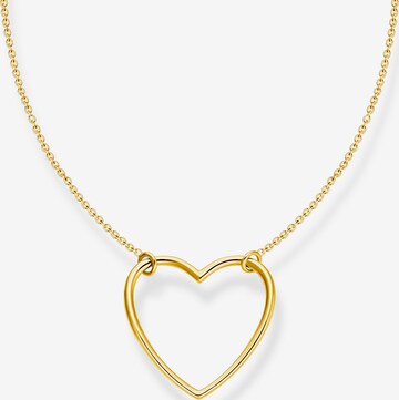 Thomas Sabo Kette in Gold: predná strana