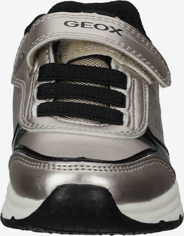 Baskets GEOX en argent