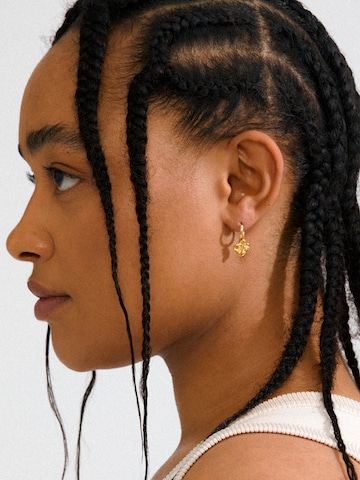 Boucles d'oreilles 'LUIS' Pilgrim en or : devant