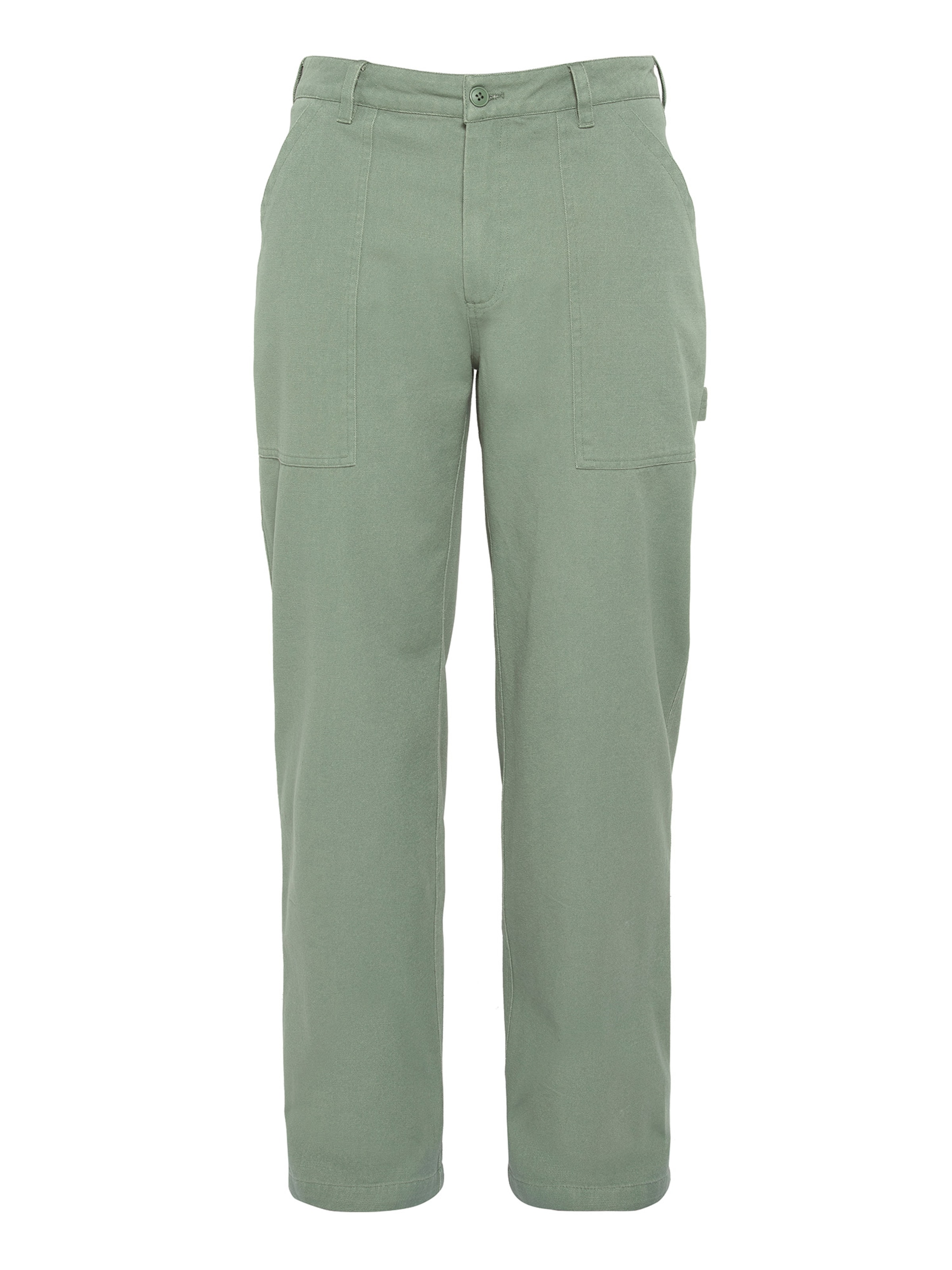 Schott NYC Regular Pants in Green: front