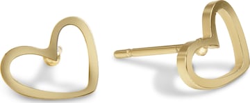Boucles d'oreilles 'Ame' Amberz en or : devant