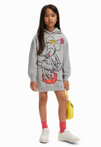 pilka Desigual Suknelė 'Minnie'