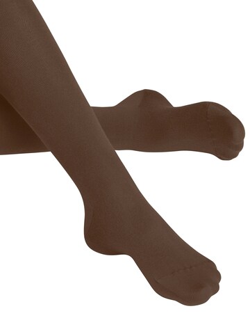 FALKE Tights 'Family' in Brown