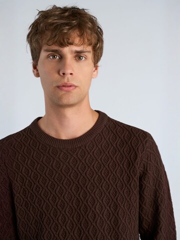 Pull-over Lindbergh en marron