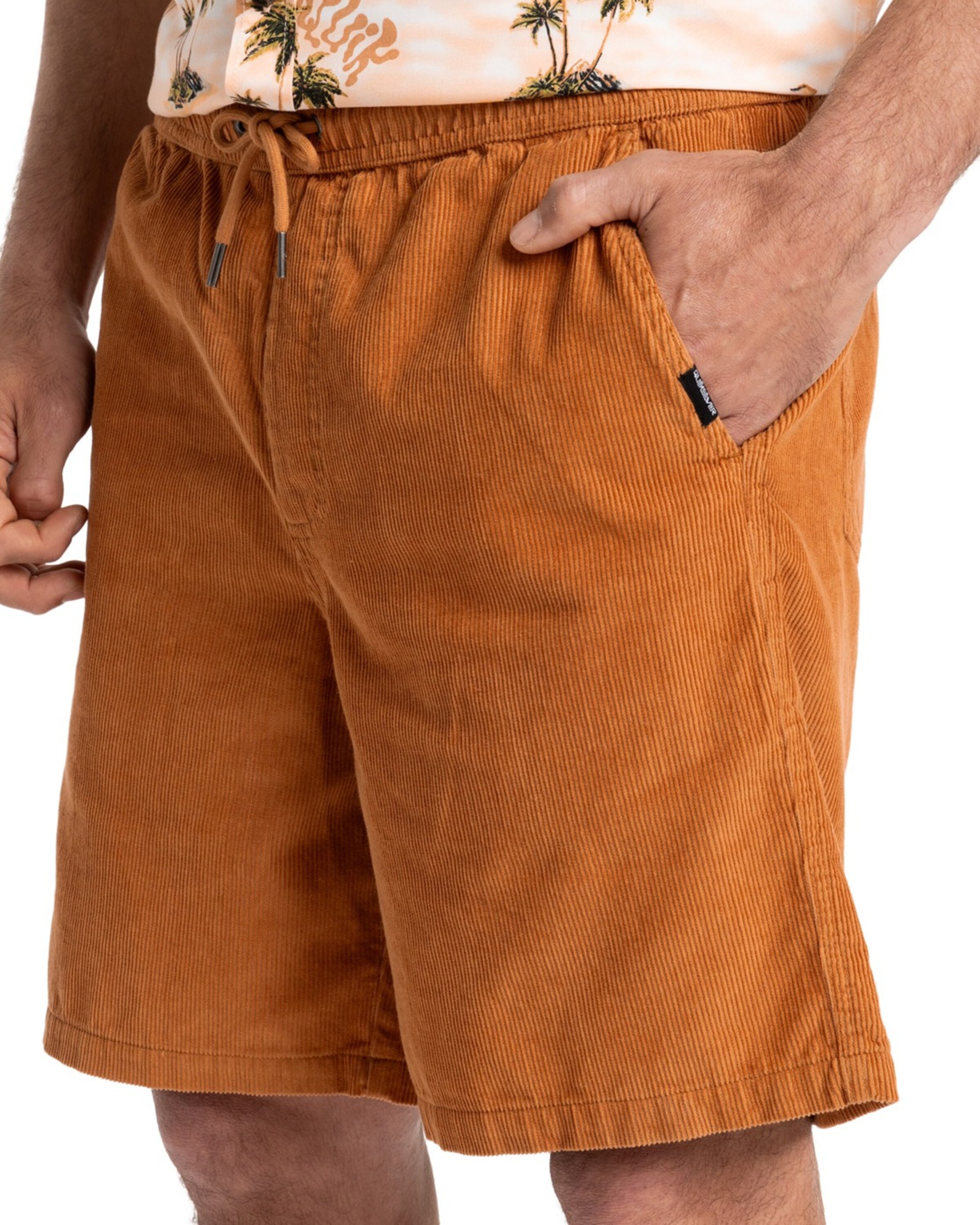 Regular Pantalon 'Taxer 18' QUIKSILVER en marron