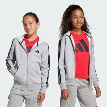 ADIDAS SPORTSWEAR Спортивная кофта 'Essentials' в Серый: спереди