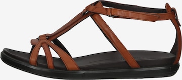 ECCO Strap Sandals in Brown