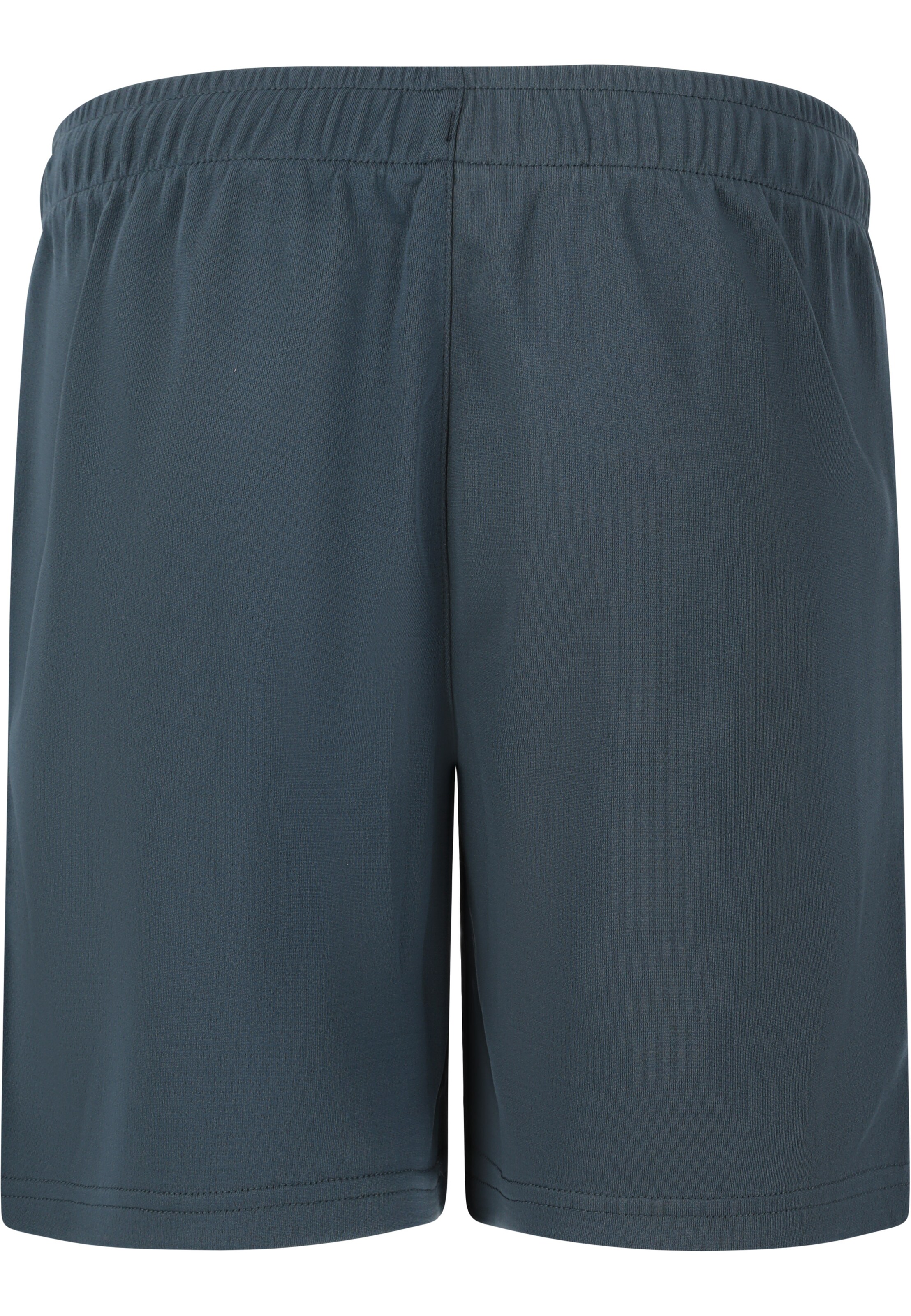 ENDURANCE Regular Shorts 'Sesto Jr.' in Blau