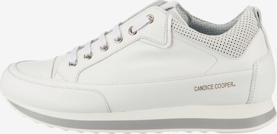 Candice Cooper Sneakers in weiß, Produktansicht