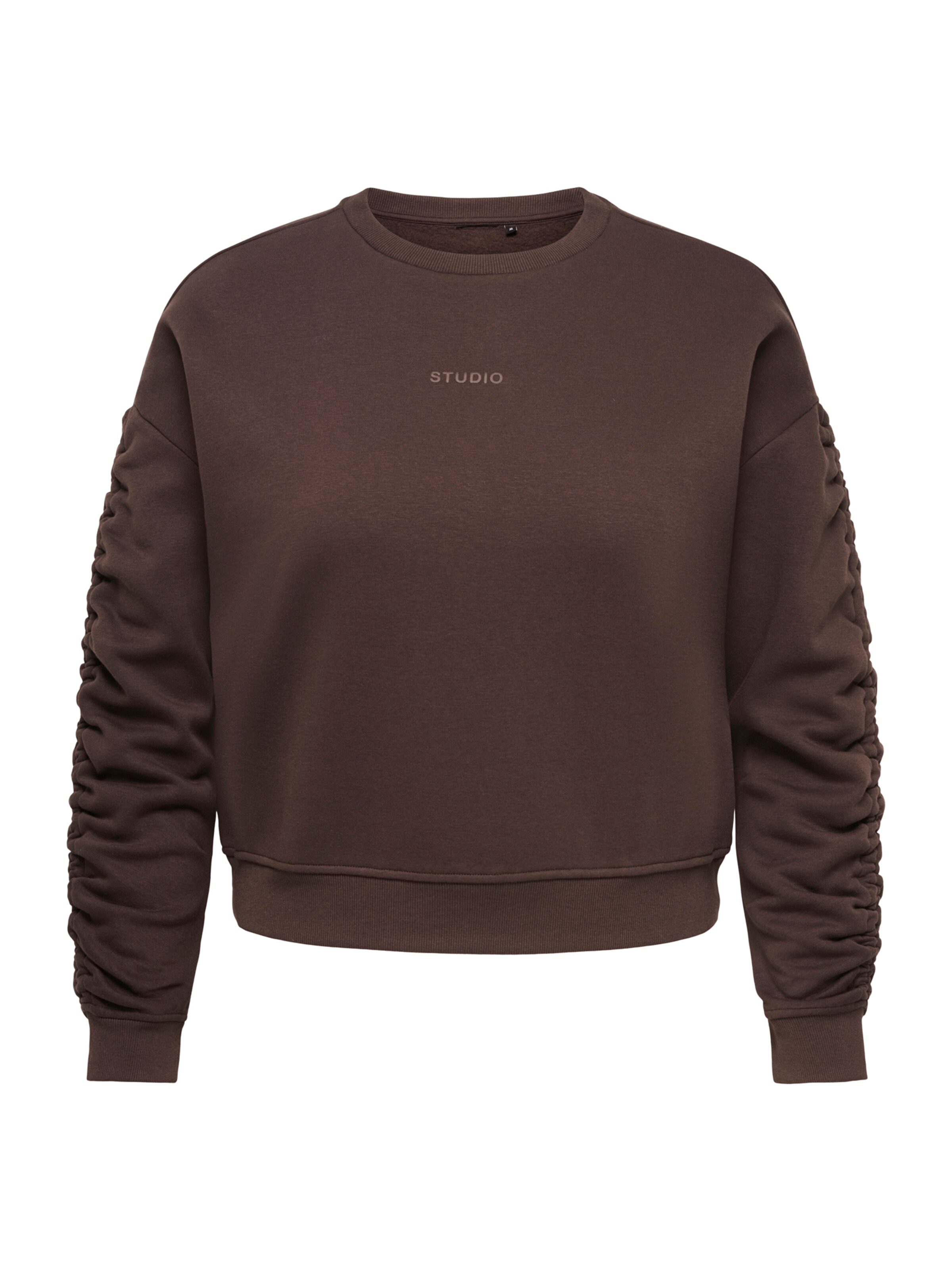 ONLY Carmakoma Sweatshirt 'CARSWEAT' in Brown: front