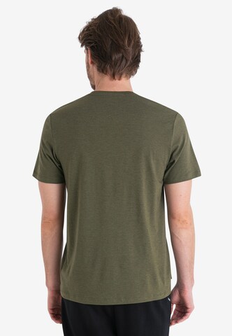 ICEBREAKER Функциональная футболка 'Central Classic Story' в Зеленый