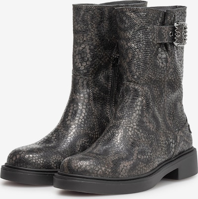 Floris van Bommel Boot 'LUSI 07' in taupe, Produktansicht