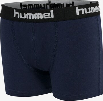 Hummel Underpants 'Nolan' in Blue