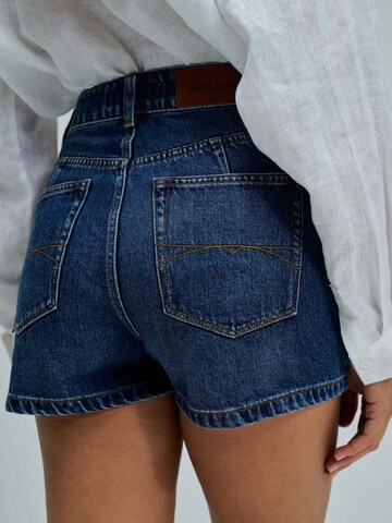 Salsa Jeans Regular Jeans in Blauw