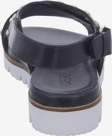 GERRY WEBER SHOES Sandals in Black