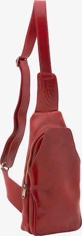Viola Castellani Crossbody bag in Red: front