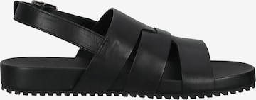 Gordon & Bros Sandals in Black