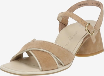 Paul Green Sandals in Brown: front