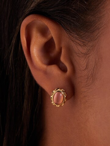 Lucardi Earrings in Gold: front