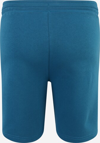 GAP Regular Shorts in Blau