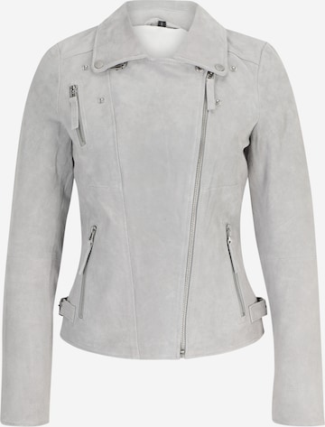 FREAKY NATION Tussenjas in Grijs: voorkant