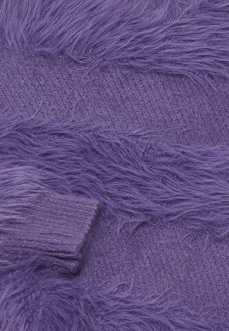 caspio Sweater in Purple
