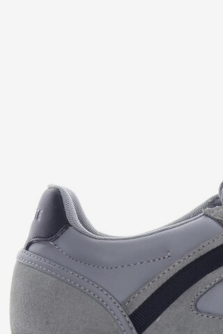 LACOSTE Sneakers & Trainers in 42 in Grey